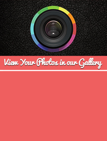 View Gallery
